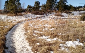 IMG_20160124_102554120